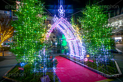 自由が丘イルミネーション,イルミネーション,イルミ,illumination,電飾,電球,発光ダイオード,LED,冬,キラキラ,綺麗,きれい,キレイ,煌,輝,デート,スポット,都内,クリスマス,自由が丘,イベント,目黒区,駅前,アーチ,行事,フルサイズ撮影