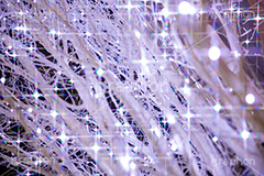 きらきらイルミネーション,きらきら,イルミネーション,イルミ,illumination,電飾,電球,発光ダイオード,LED,冬,キラキラ,綺麗,きれい,キレイ,煌,輝,デート,スポット,クリスマス,クロスフィルタ,フレア,flare,フルサイズ撮影