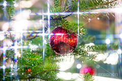 光り輝くクリスマスオーナメント,クリスマスツリー,イルミネーション,イルミ,電飾,電球,発光ダイオード,LED,冬,キラキラ,綺麗,きれい,キレイ,煌,輝,デート,クリスマス,CHRISTMAS,Xmas,ornament,illumination,tree,飾り,デコレーション,イベント,オーナメント,ボール,フルサイズ撮影,雨の日,雨,水滴,雨粒,もみの木,モミの木