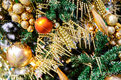 光り輝くクリスマスオーナメント,クリスマスツリー,イルミネーション,イルミ,電飾,電球,発光ダイオード,LED,冬,キラキラ,綺麗,きれい,キレイ,煌,輝,デート,クリスマス,CHRISTMAS,Xmas,ornament,illumination,tree,飾り,デコレーション,イベント,オーナメント,ボール,フルサイズ撮影,もみの木,モミの木