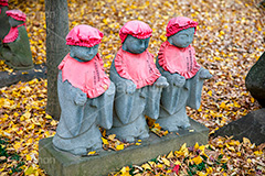浄真寺の紅葉,浄真寺,九品仏浄真寺,九品仏,奥沢,自由が丘,阿弥陀如来像,寺,文化財,指定文化財,お面かぶり,世田谷区,temple,japan,もみじ,真っ赤,色づく,紅葉,自然,植物,木々,秋,季語,草木,japan,autumn,石造,地蔵,並ぶ,落ち葉,葉,葉っぱ,銀杏,イチョウ,フルサイズ撮影