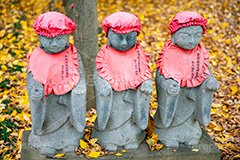 浄真寺の紅葉,浄真寺,九品仏浄真寺,九品仏,奥沢,自由が丘,阿弥陀如来像,寺,文化財,指定文化財,お面かぶり,世田谷区,temple,japan,もみじ,真っ赤,色づく,紅葉,自然,植物,木々,秋,季語,草木,japan,autumn,石造,地蔵,並ぶ,落ち葉,葉,葉っぱ,銀杏,イチョウ,フルサイズ撮影
