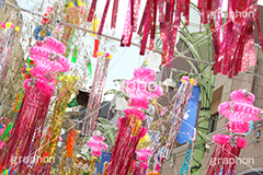 七夕,清凉,スターフェスティバル,フェスティバル,祭り,初夏,夏,風物詩,風物,飾り,七夕飾り,短冊,短尺,吹流し,吹き流し,たなばた,しちせき,節供,節日,五節句,棚機,棚幡,7月7日,7/7,8/7,8月7日,牽牛,織女,彦星,天の川,商店街,阿佐ヶ谷,あさがや,まつり,季語,イベント,行事,StarFestival,summer