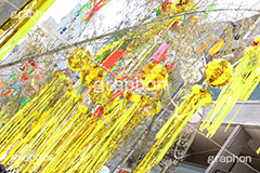 七夕,清凉,スターフェスティバル,フェスティバル,祭り,初夏,夏,風物詩,風物,飾り,七夕飾り,短冊,短尺,吹流し,吹き流し,たなばた,しちせき,節供,節日,五節句,棚機,棚幡,7月7日,7/7,8/7,8月7日,牽牛,織女,彦星,天の川,商店街,阿佐ヶ谷,あさがや,まつり,季語,イベント,行事,StarFestival,summer