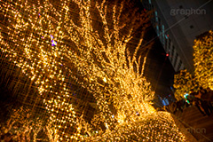 新宿ミナミルミ,新宿南口,南口,新宿駅,JR,イルミネーション,イルミ,illumination,電飾,電球,発光ダイオード,LED,冬,都内,新宿,イベント,shinjuku,event,新宿区,行事,サザンテラス,タカシマヤ,高島屋,タイムズスクエア,新宿マインズタワー,ミライナタワー,フルサイズ撮影