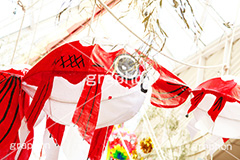 七夕,清凉,スターフェスティバル,フェスティバル,祭り,初夏,夏,風物詩,風物,飾り,七夕飾り,短冊,短尺,吹流し,吹き流し,たなばた,しちせき,節供,節日,五節句,棚機,棚幡,7月7日,7/7,8/7,8月7日,牽牛,織女,彦星,天の川,商店街,阿佐ヶ谷,あさがや,まつり,季語,イベント,行事,StarFestival,summer