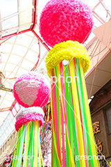 七夕,清凉,スターフェスティバル,フェスティバル,祭り,初夏,夏,風物詩,風物,飾り,七夕飾り,短冊,短尺,吹流し,吹き流し,たなばた,しちせき,節供,節日,五節句,棚機,棚幡,7月7日,7/7,8/7,8月7日,牽牛,織女,彦星,天の川,商店街,阿佐ヶ谷,あさがや,まつり,季語,イベント,行事,StarFestival,summer