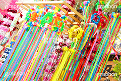 七夕,清凉,スターフェスティバル,フェスティバル,祭り,初夏,夏,風物詩,風物,飾り,七夕飾り,短冊,短尺,吹流し,吹き流し,たなばた,しちせき,節供,節日,五節句,棚機,棚幡,7月7日,7/7,8/7,8月7日,牽牛,織女,彦星,天の川,商店街,阿佐ヶ谷,あさがや,まつり,季語,イベント,行事,StarFestival,summer