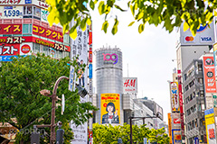 渋谷スクランブル交差点,渋谷,しぶや,ハチ公,観光,交差点,渋谷駅,駅前,スクランブル,道玄坂,横断歩道,信号,shibuya,japan,109,フルサイズ撮影