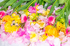 春の花束,スプリング,春,ガーリー,パステル,花,フラワー,カラフル,チューリップ,スイートピー,水滴,ジュエル,宝石,しずく,キラキラ,flower,colorful,tulip,jewel,spring,pastel