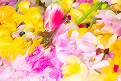 春の花束,スプリング,春,ガーリー,パステル,花,フラワー,カラフル,チューリップ,スイートピー,水滴,ジュエル,宝石,しずく,キラキラ,flower,colorful,tulip,jewel,spring,pastel