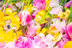 春の花束,スプリング,春,ガーリー,パステル,花,フラワー,カラフル,チューリップ,スイートピー,水滴,ジュエル,宝石,しずく,キラキラ,flower,colorful,tulip,jewel,spring,pastel