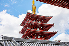 浅草寺の五重の塔,浅草,雷門,浅草寺,あさくさ,台東区,寺,お寺,参拝,お参り,東京都内最古,都内最古,五重塔,五重,五重の塔,塔,浅草 名所,浅草 観光,スポット,寺院,asakusa,japan,フルサイズ撮影
