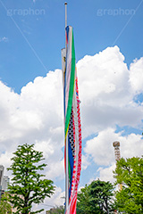 休憩中の鯉のぼり,青空を泳ぐ鯉のぼり,こいのぼり,鯉のぼり,5月5日,端午,節句,供物,こどもの日,子供の日,こども,子供,男の子,浅草寺,和,文化,japan,event,kids,風習,行事,フルサイズ撮影