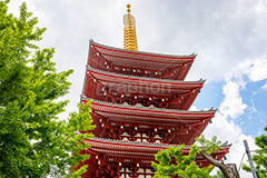 浅草寺の五重の塔,浅草,雷門,浅草寺,あさくさ,台東区,寺,お寺,参拝,お参り,東京都内最古,都内最古,五重塔,五重,五重の塔,塔,浅草 名所,浅草 観光,スポット,寺院,asakusa,japan,フルサイズ撮影