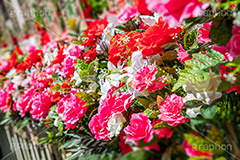 お祝い花,花,フラワー,スタンド,豪華,祝い,お祝い,めでたい,舞台,芸能,ステージ,開店,造花,贈り物,並ぶ,プレゼント,ギフト,gift,flower,present,フルサイズ撮影
