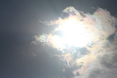太陽,逆光,逆光太陽,フレア,レンズフレア,眩,たいよう,日差し,光,空,サン,空/天気,flare,sun,backlight