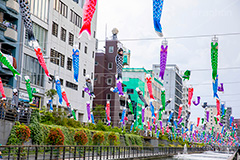 北十間川の鯉のぼり,北十間川,スカイツリータウンの鯉のぼり,こいのぼり,鯉のぼり,5月5日,端午,節句,こどもの日,子供の日,こども,子供,男の子,スカイツリー,スカイツリータウン,和,文化,風習,行事,墨田区,押上,タワー,なびく,skytree,event,kids,japan,festival,tower,solamachi,フルサイズ撮影