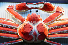 カニ看板,カニ,蟹,飲食店,看板,真っ赤な,大きな,大きなカニ,リアル,動く,蟹看板,カニ看板,かんばん,カンバン