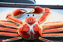 カニ看板,カニ,蟹,飲食店,看板,真っ赤な,大きな,大きなカニ,リアル,動く,蟹看板,カニ看板,かんばん,カンバン