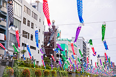 北十間川の鯉のぼり,北十間川,スカイツリータウンの鯉のぼり,こいのぼり,鯉のぼり,5月5日,端午,節句,こどもの日,子供の日,こども,子供,男の子,スカイツリー,スカイツリータウン,和,文化,風習,行事,墨田区,押上,タワー,なびく,skytree,event,kids,japan,festival,tower,solamachi,フルサイズ撮影