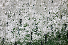 噴水の水しぶき,水しぶき,泡,噴水,水滴,水,テクスチャ,テクスチャー,水撒き,水まき,散布,散水,フルサイズ撮影,水系,公園,1/8000,water,texture,park