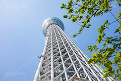 東京スカイツリー,真下からのスカイツリー,スカイツリー,墨田区,押上,電波塔,634,634メートル,634m,塔,電線,真下,見上げ,タワー,青空,tower,TOKYO SKYTREE,フルサイズ撮影