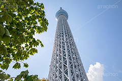 東京スカイツリー,真下からのスカイツリー,スカイツリー,墨田区,押上,電波塔,634,634メートル,634m,塔,電線,真下,見上げ,タワー,青空,tower,TOKYO SKYTREE,フルサイズ撮影