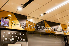 渋谷スクランブルスクエア,スクランブルスクエア,新名所,新旧,渋谷,しぶや,シブヤ,オフィスビル,商業施設,高層ビル,建設,開発,工事,都市開発,2019,東棟,展望,ショッピング,買い物,japan,shopping,shibuya,building,office