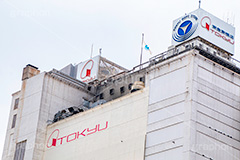 東急デパート,東急,TOKYU,渋谷,しぶや,看板,買い物,デパート,ショッピング,渋谷駅,駅前,駅,老舗,閉店,老朽,再開発,shibuya,japan,shopping