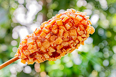 チーズハットグ,チーズドック,ホットドッグ,アメリカンドッグ,ファーストフード,ジャンクフード,カロリー,食べ歩き,韓国グルメ,スナック,流行り,串,チーズ,伸びる,ソーセージ,ウィンナー,ジャガイモ,じゃがいも,ポテト,potato,cheese,snack