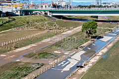 台風の傷跡,流木,倒木,洪水,浸水,濁流,水位,危険,被災,氾濫,決壊,堤防,水害,ハザードマップ,台風,大雨,嵐,豪雨,天災,災害,避難,非常,傷,被害,事件,事故,多摩川,川原,河川敷,一級河川,玉川,河川,グランド,グラウンド,野球グランド,ground,sports,神奈川,typhoon,disaster,japan,2019