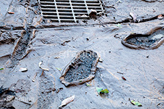 台風の傷跡,洪水,浸水,泥,泥水,汚,下水,被災,氾濫,堤防,水害,ハザードマップ,足跡,除去,復旧,復興,床上,床下,台風,大雨,嵐,豪雨,天災,災害,避難,非常,傷,被害,事件,事故,道路,神奈川,typhoon,disaster,japan,2019