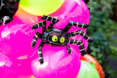 ハロウィンバルーン,蜘蛛,クモ,スパイダー,風船,ふうせん,バルーン,カラフル,ハロウィンパーティー,ハロウィン,ハロウィーン,はろうぃん,パーティー,こども,子供,キッズ,オーナメント,飾り,イベント,秋,行事,ornament,kids,Halloween,party,balloon,spider,フルサイズ撮影