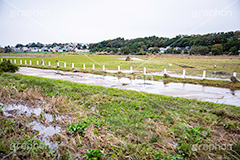 台風の傷跡,流木,倒木,洪水,浸水,被災,氾濫,決壊,堤防,水害,ハザードマップ,台風,大雨,嵐,豪雨,天災,災害,避難,非常,傷,被害,事件,事故,多摩川,川原,河川敷,一級河川,玉川,河川,グランド,グラウンド,野球グランド,神奈川,ground,sports,typhoon,disaster,japan,2019,フルサイズ撮影