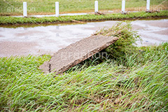 台風の傷跡,流木,倒木,洪水,浸水,被災,氾濫,決壊,堤防,水害,地面,割れ,剥がれ,ハザードマップ,台風,大雨,嵐,豪雨,天災,災害,避難,非常,傷,被害,事件,事故,多摩川,川原,河川敷,一級河川,玉川,河川,神奈川,typhoon,disaster,japan,2019,フルサイズ撮影