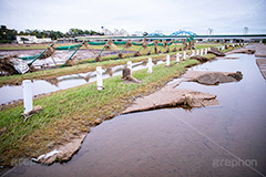 台風の傷跡,流木,倒木,洪水,浸水,被災,氾濫,決壊,堤防,水害,ハザードマップ,台風,大雨,嵐,豪雨,天災,災害,避難,非常,傷,被害,事件,事故,多摩川,川原,河川敷,一級河川,玉川,河川,グランド,グラウンド,野球グランド,神奈川,ground,sports,typhoon,disaster,japan,2019,フルサイズ撮影
