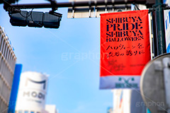 渋谷ハロウィン,ハロウィン,秋,渋谷,イベント,催し,仮装,はろうぃん,ハロウィーン,行事,マナー,ルール,事件,問題,犯罪,ニュース,混乱,規制,混雑,パリピ,取り組み,誇り,旗,バナー,信号,shibuya,halloween,autumn,manner,rule,フルサイズ撮影