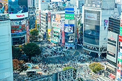 渋谷の街並み,渋谷スクランブル交差点,渋谷,しぶや,ハチ公,観光,交差点,渋谷駅,駅前,スクランブル,スクランブルスクエア,shibuya,japan