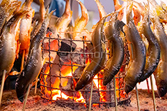 鮎の塩焼き,鮎,あゆ,焼き魚,串焼き,魚,炭火,焼き,炉端焼き,夏祭り,祭り,出店,露店,屋台,夏,サマー,夏休み,縁日,的屋,食べ歩き,おやつ,つまみ,おつまみ,summer,festival,japan
