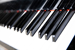 ピアノ,ぴあの,鍵盤,楽器,音楽,演奏,レッスン,コンサート,曲,弾,白黒,弾いてみた,演奏してみた,ミュージック,連番,伴奏,音色,作曲,メロディ,melody,music,concert,piano,フルサイズ撮影