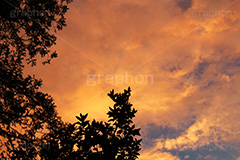 夕焼け,夕日,夕方,夕,日の入り,オレンジ,赤,染,雲,空,日没,現象,きれい,キレイ,綺麗,沈,空/天気,sunset