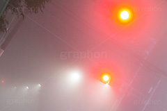 濃霧,霧,水蒸気,湿度,散乱,もや,視界,露点,水粒,早朝,天気,気象,幻想的,怪しい,早朝,信号機