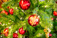 クリスマスオーナメント,クリスマスツリー,イルミネーション,イルミ,電飾,電球,発光ダイオード,LED,冬,クリスマス,飾り,デコレーション,イベント,オーナメント,ボール,もみの木,モミの木,CHRISTMAS,Xmas,ornament,illumination,tree,フルサイズ撮影