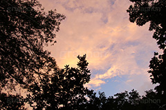 夕焼け,夕日,夕方,夕,日の入り,オレンジ,赤,染,雲,空,日没,現象,きれい,キレイ,綺麗,沈,空/天気,sunset