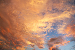 マグマのような夕焼け,夕焼け,夕日,夕方,夕,日の入り,オレンジ,赤,染,雲,空,日没,現象,きれい,キレイ,綺麗,沈,マグマ,空/天気,怪しい,sunset