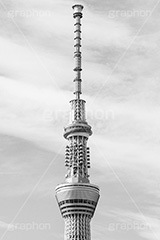 スカイツリー(モノクロ),モノクロ,白黒,しろくろ,モノクローム,単色画,単彩画,単色,