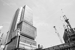 変わる渋谷(モノクロ),モノクロ,白黒,しろくろ,モノクローム,単色画,単彩画,単色,