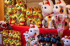 招き猫,まねき猫,出店,露店,商売繁盛,福,景気,縁起,お金,小判,収入,金,ゴールド,gold,japan,フルサイズ撮影