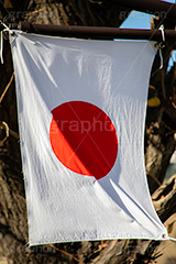 日本国旗,日の丸,国旗,旗,国,国家,日本,政治,シンボル,祝日,祝い,揺れる,なびく,symbol,japan,フルサイズ撮影